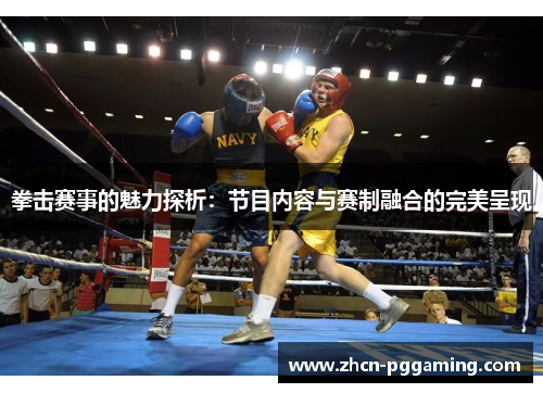 拳击赛事的魅力探析：节目内容与赛制融合的完美呈现