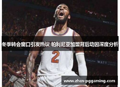 冬季转会窗口引发热议 帕利尼亚加盟背后动因深度分析