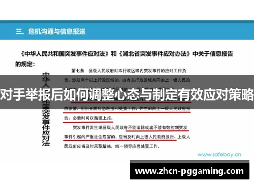 对手举报后如何调整心态与制定有效应对策略