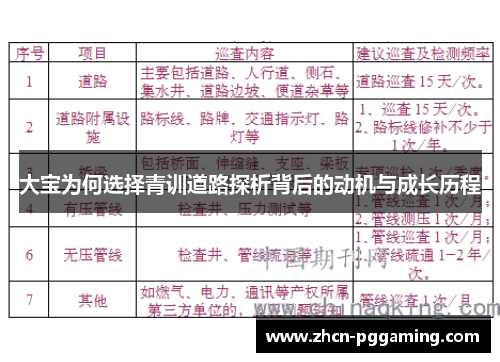 大宝为何选择青训道路探析背后的动机与成长历程
