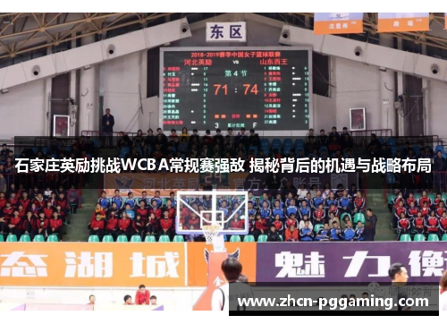 石家庄英励挑战WCBA常规赛强敌 揭秘背后的机遇与战略布局