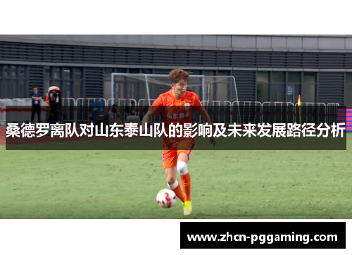 桑德罗离队对山东泰山队的影响及未来发展路径分析