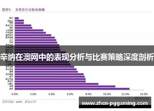 辛纳在澳网中的表现分析与比赛策略深度剖析