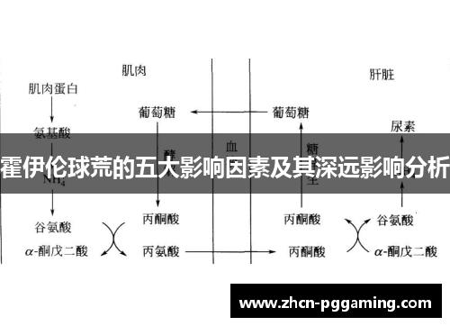 霍伊伦球荒的五大影响因素及其深远影响分析