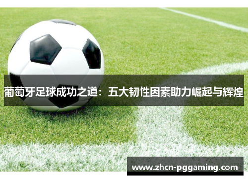 葡萄牙足球成功之道：五大韧性因素助力崛起与辉煌