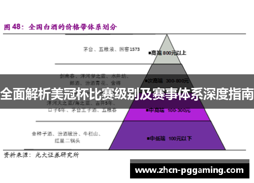 全面解析美冠杯比赛级别及赛事体系深度指南