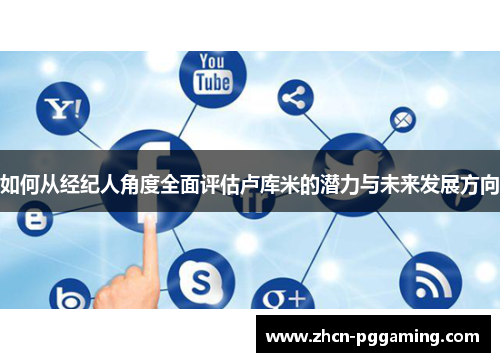 如何从经纪人角度全面评估卢库米的潜力与未来发展方向