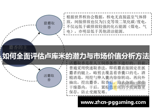 如何全面评估卢库米的潜力与市场价值分析方法