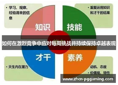 如何在激烈竞争中应对每周挑战并持续保持卓越表现