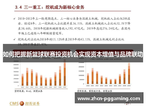 如何把握新篮球联赛投资机会实现资本增值与品牌联动