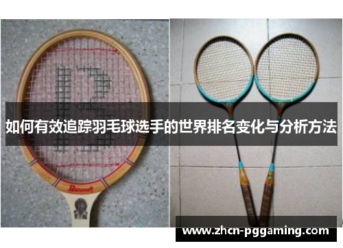 如何有效追踪羽毛球选手的世界排名变化与分析方法