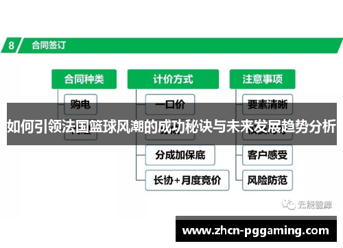 如何引领法国篮球风潮的成功秘诀与未来发展趋势分析